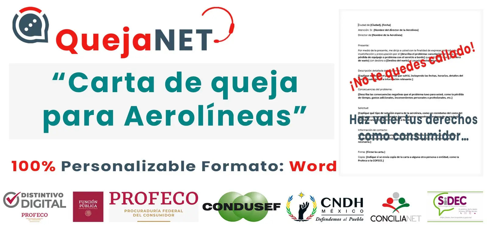 Carta de Queja: “Aerolíneas” (Formato2025)